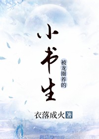 [日综]小律师使用指南